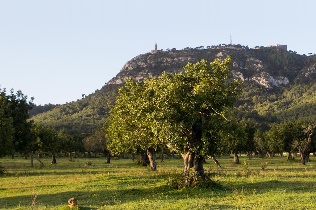 Petit Hostatgeria Sant Salvador Felanitx